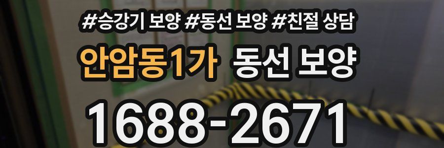 안암동1가 동선 보양
