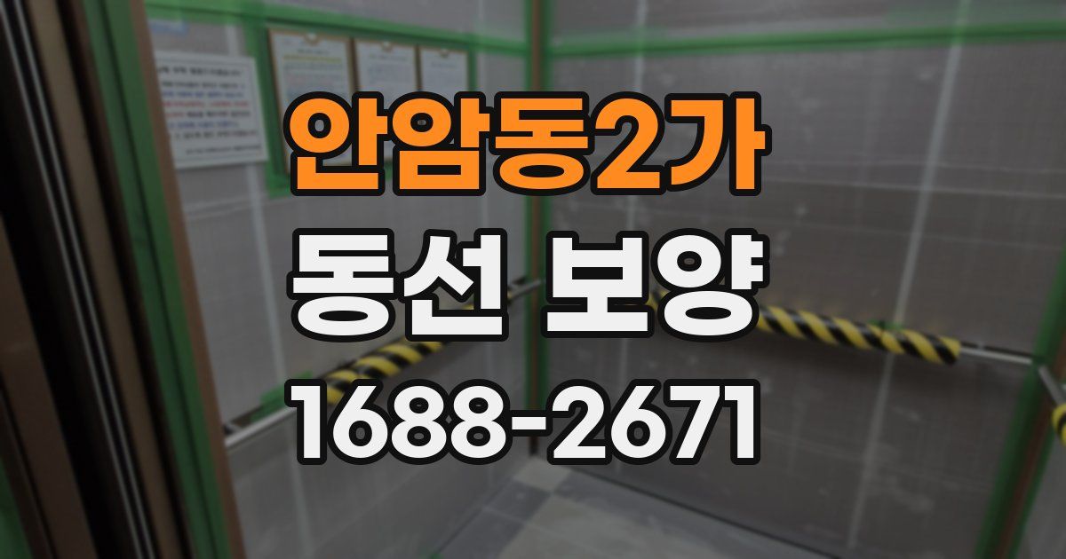 안암동2가 동선 보양