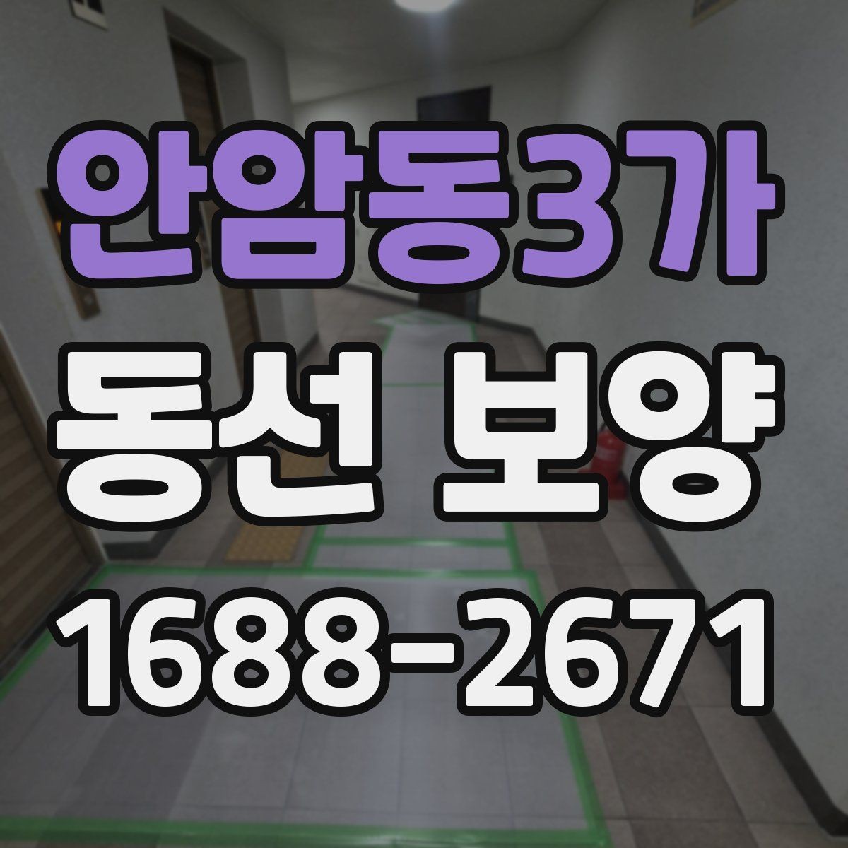 안암동3가 동선 보양 현장에서 효율을 높이는 방법