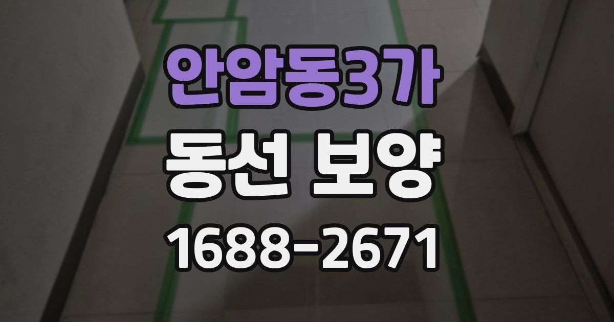 안암동3가 동선 보양