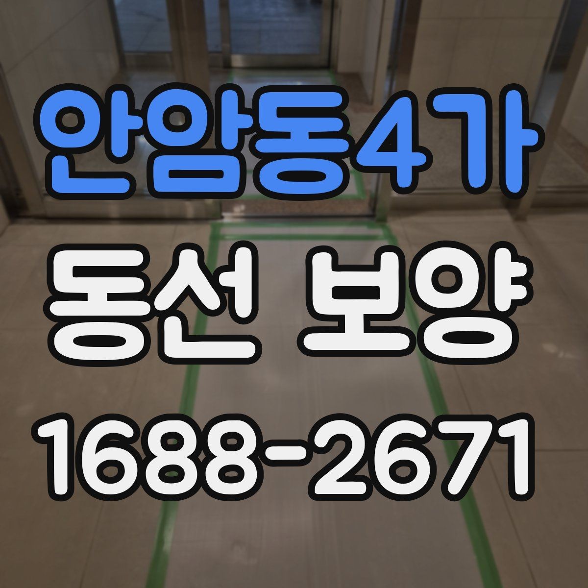 안암동4가 동선 보양 관련 문의 전 준비하면 좋은 정보