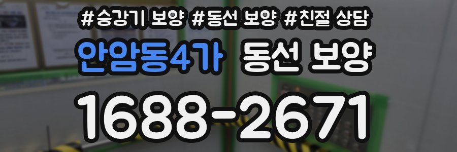 안암동4가 동선 보양