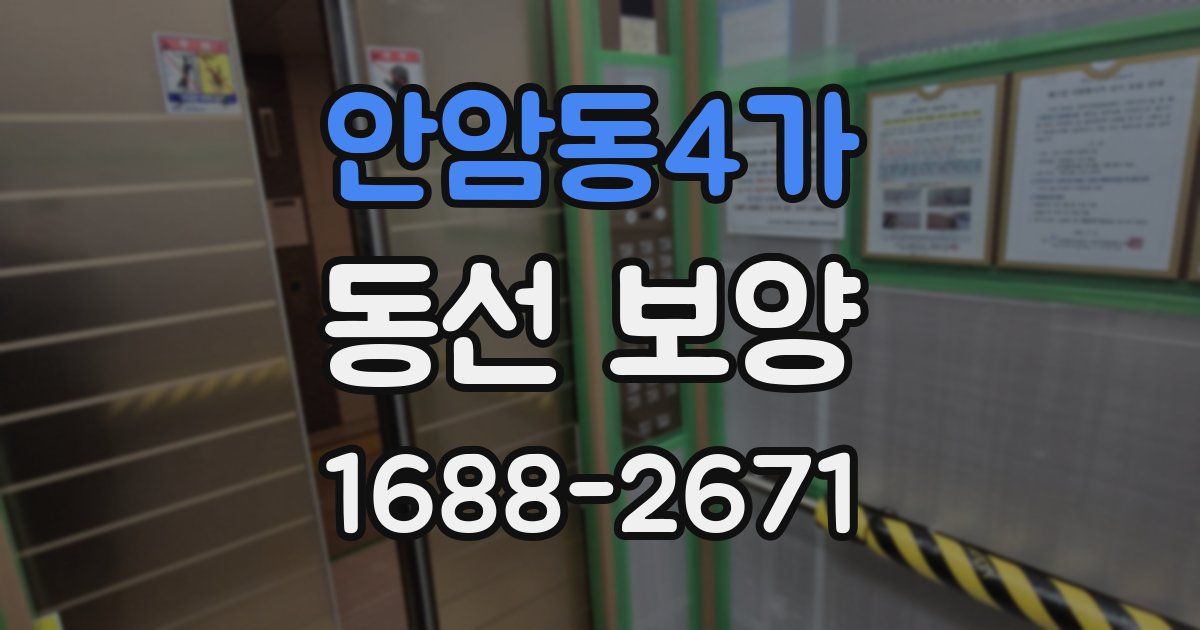 안암동4가 동선 보양
