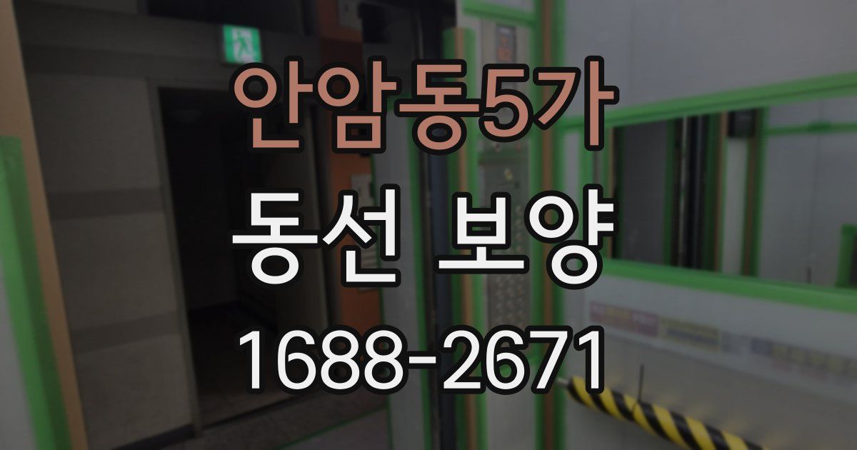안암동5가 동선 보양