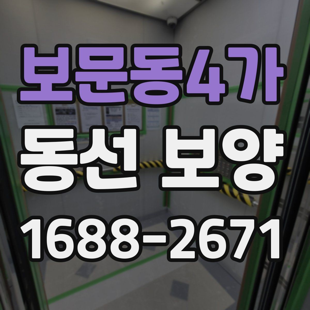 보문동4가 동선 보양 자재별 장단점 한눈에 보기
