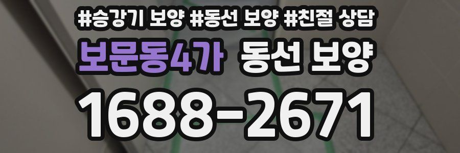 보문동4가 동선 보양
