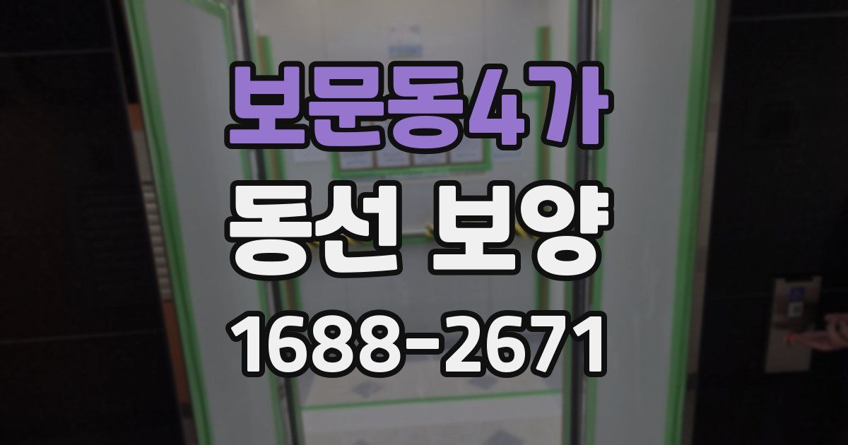 보문동4가 동선 보양
