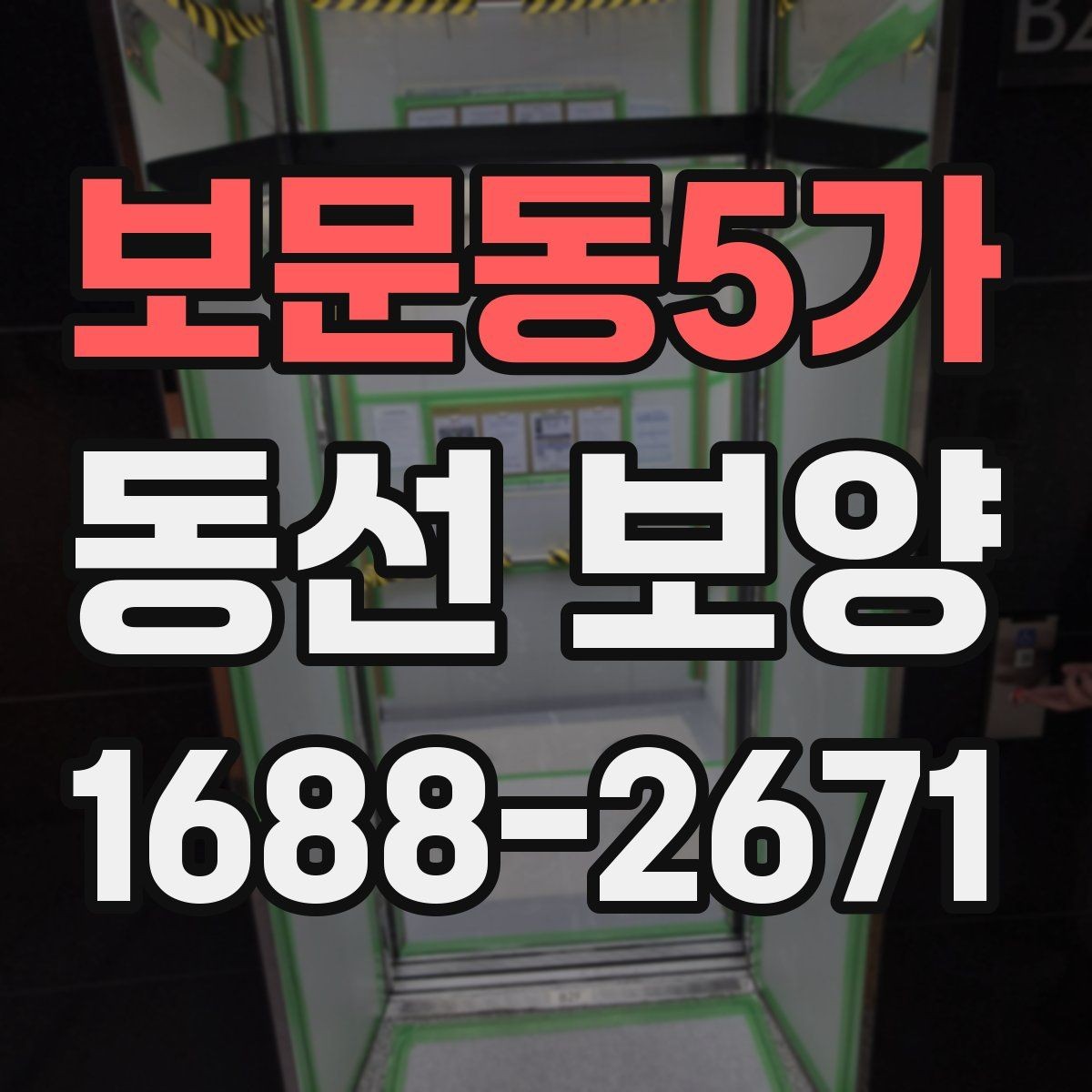 보문동5가 동선 보양 자재의 종류와 각각의 장단점