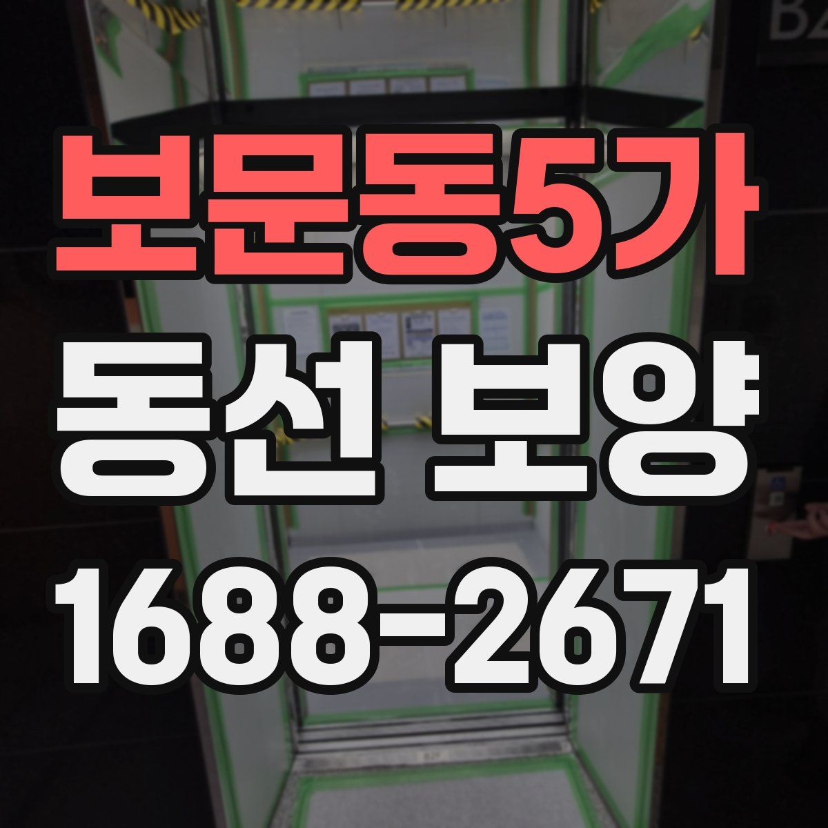 보문동5가 동선 보양