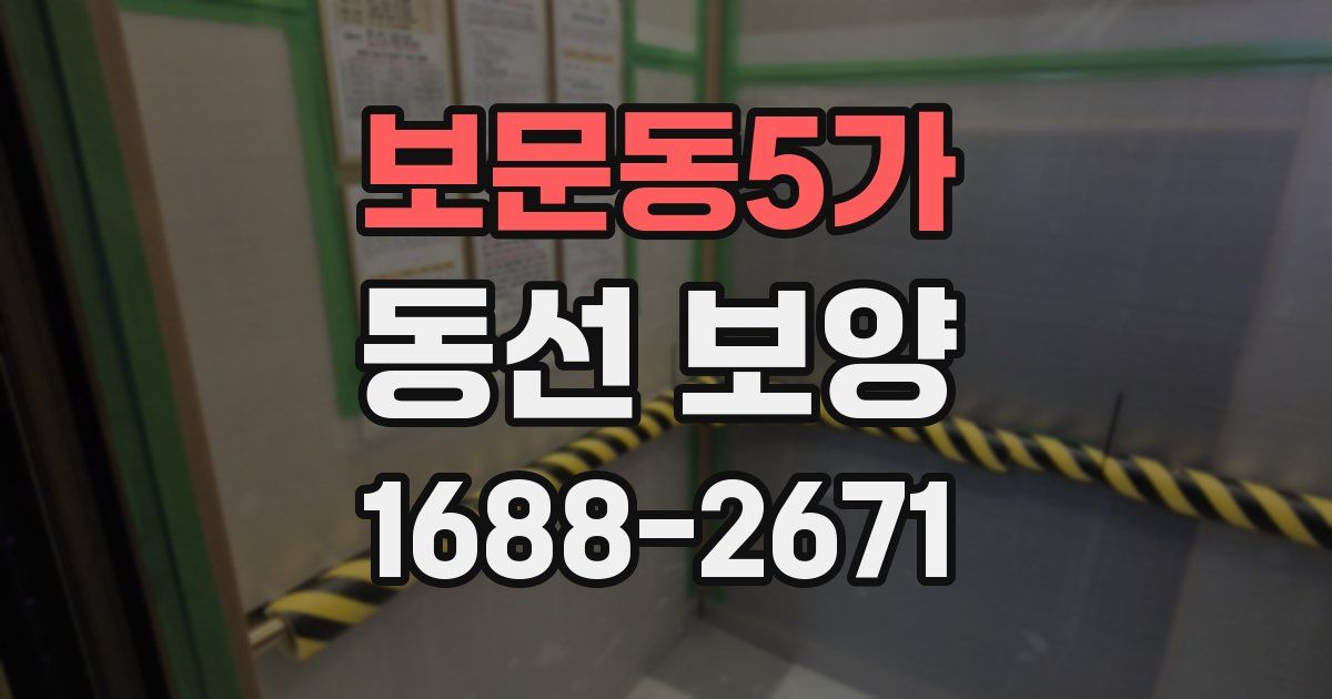 보문동5가 동선 보양