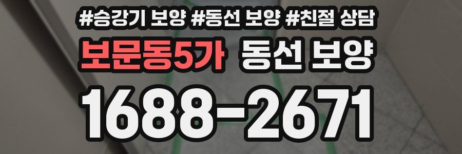 보문동5가 동선 보양