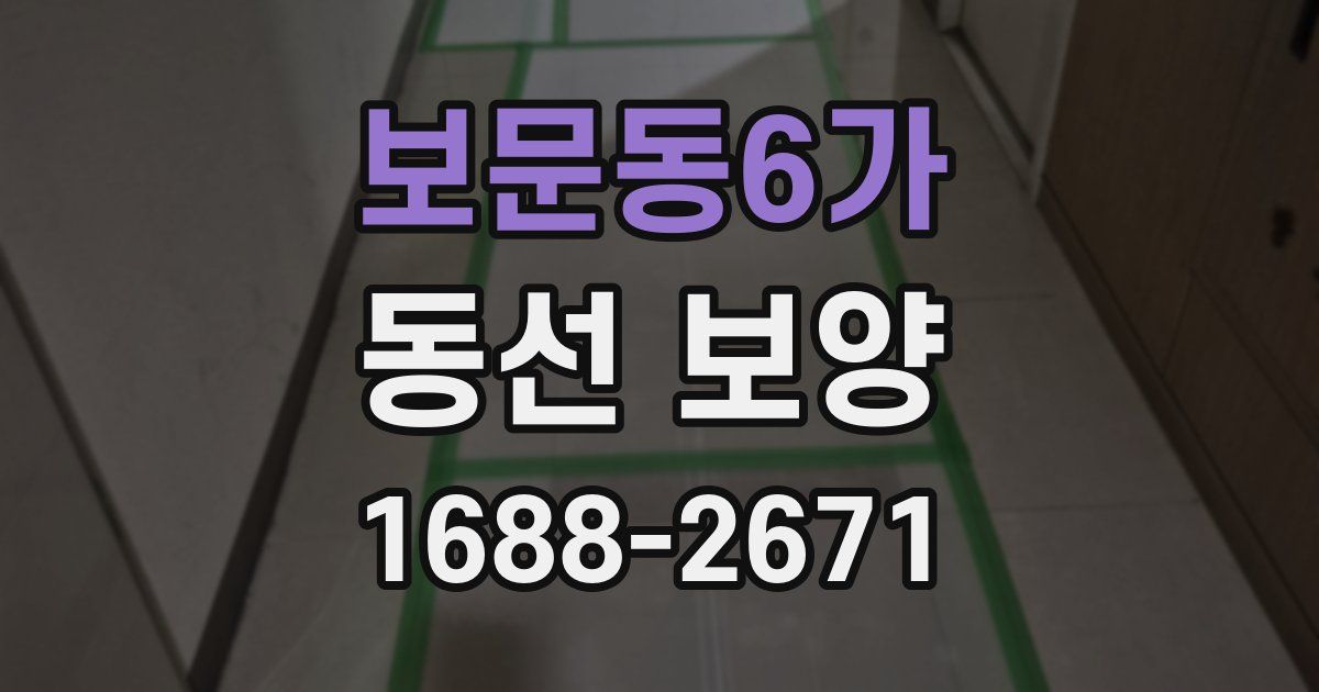 보문동6가 동선 보양