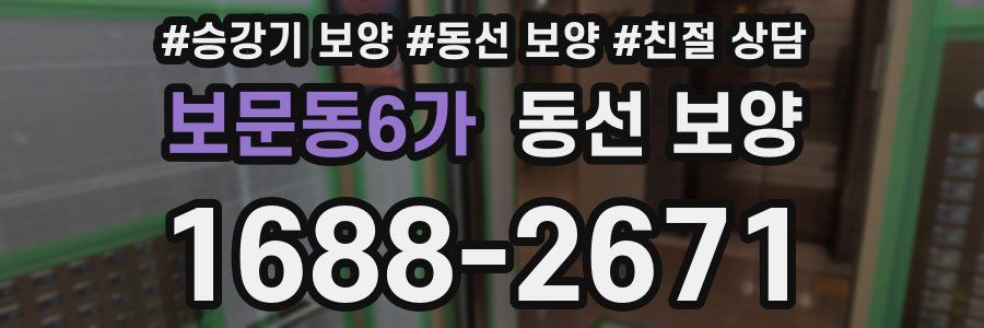 보문동6가 동선 보양