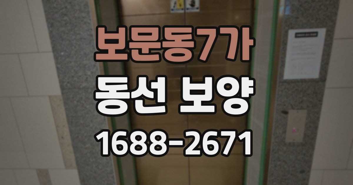 보문동7가 동선 보양