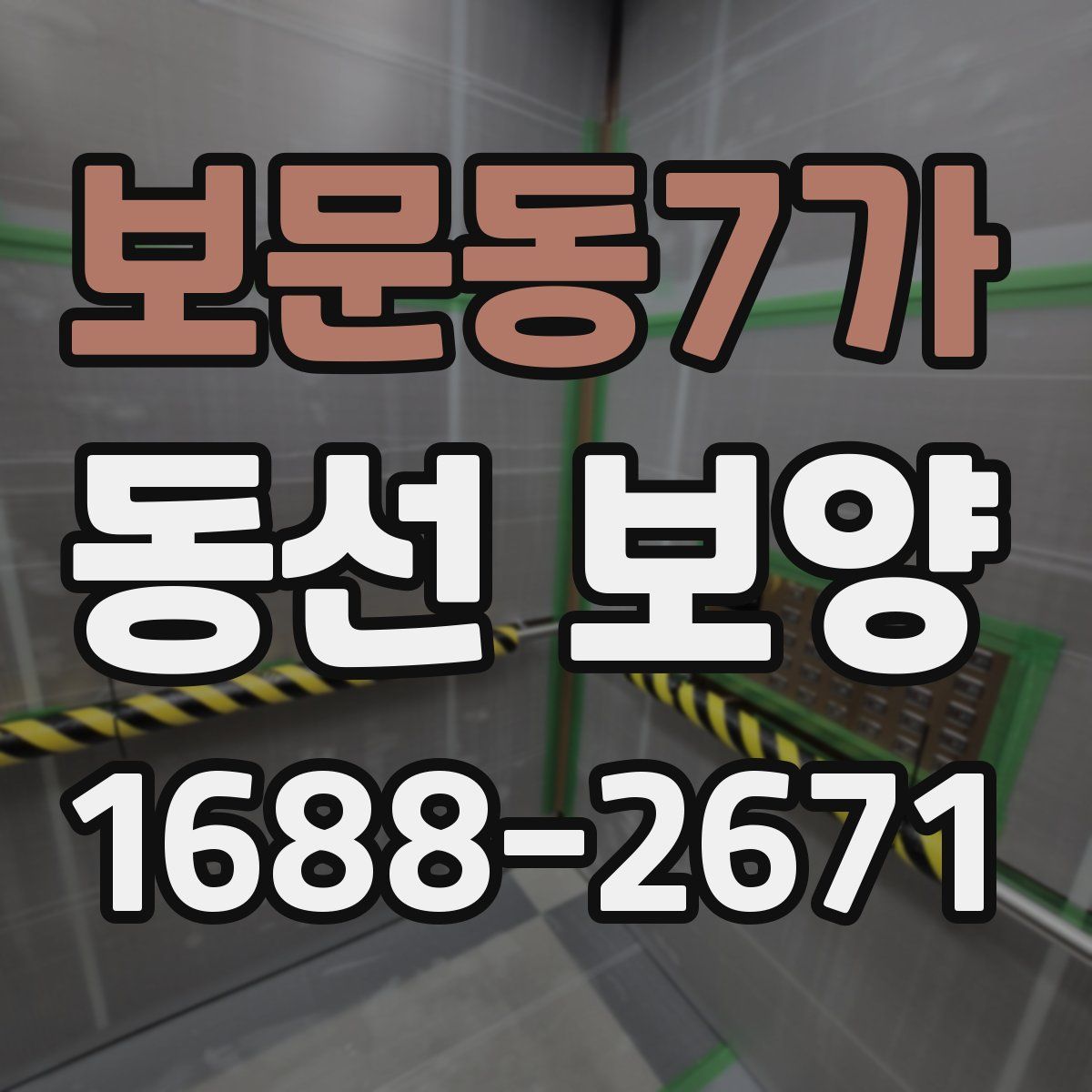 보문동7가 동선 보양