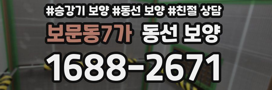 보문동7가 동선 보양