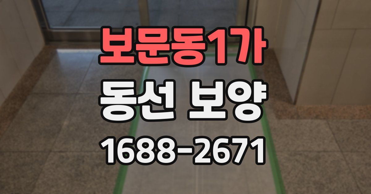 보문동1가 동선 보양