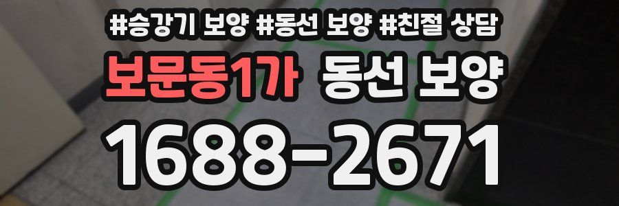 보문동1가 동선 보양
