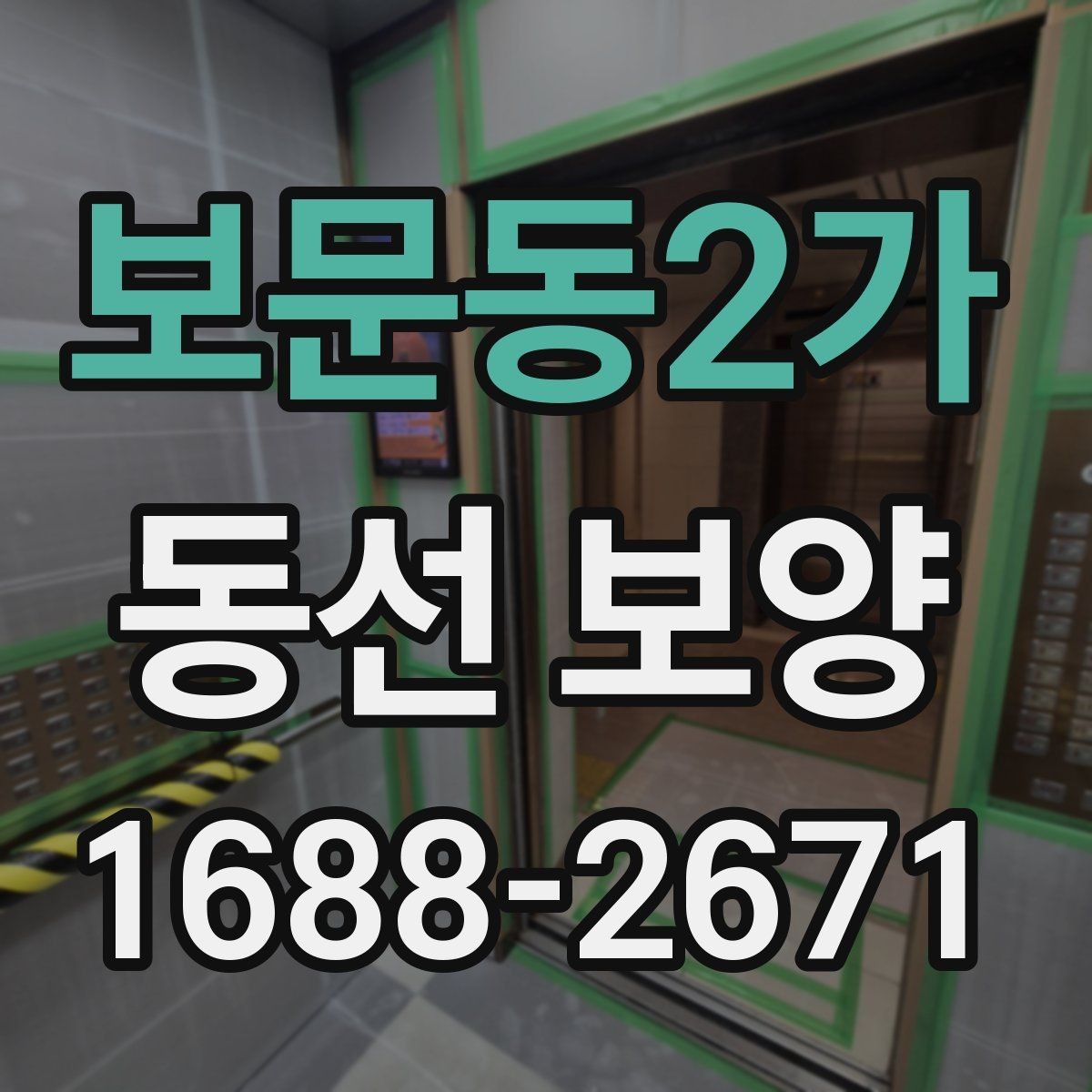 보문동2가 동선 보양 시 주의해야 할 안전과 동선 관리