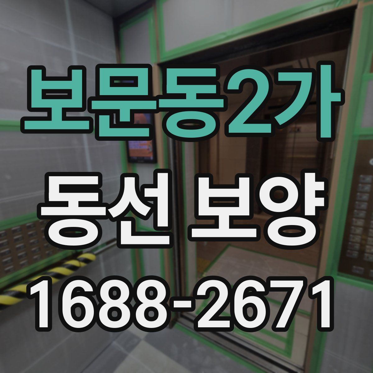 보문동2가 동선 보양