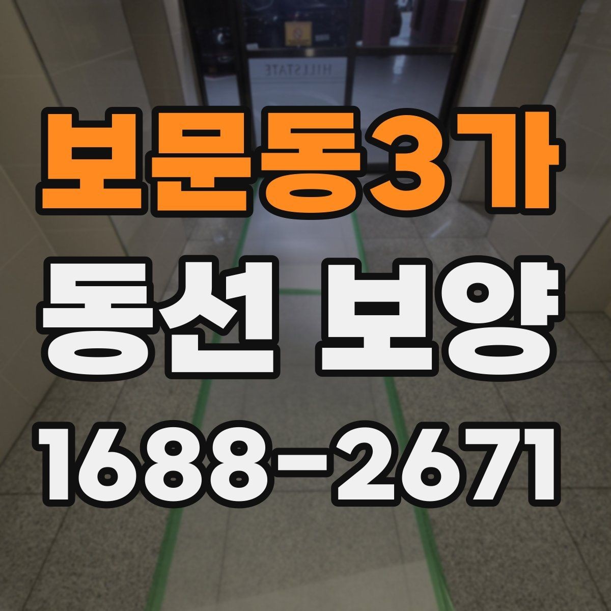 보문동3가 동선 보양 작업 범위와 현장 조건을 함께 보는 이유