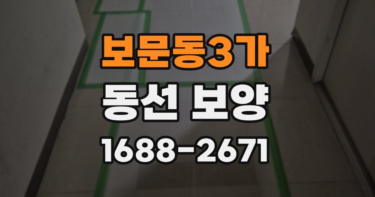 보문동3가 동선 보양