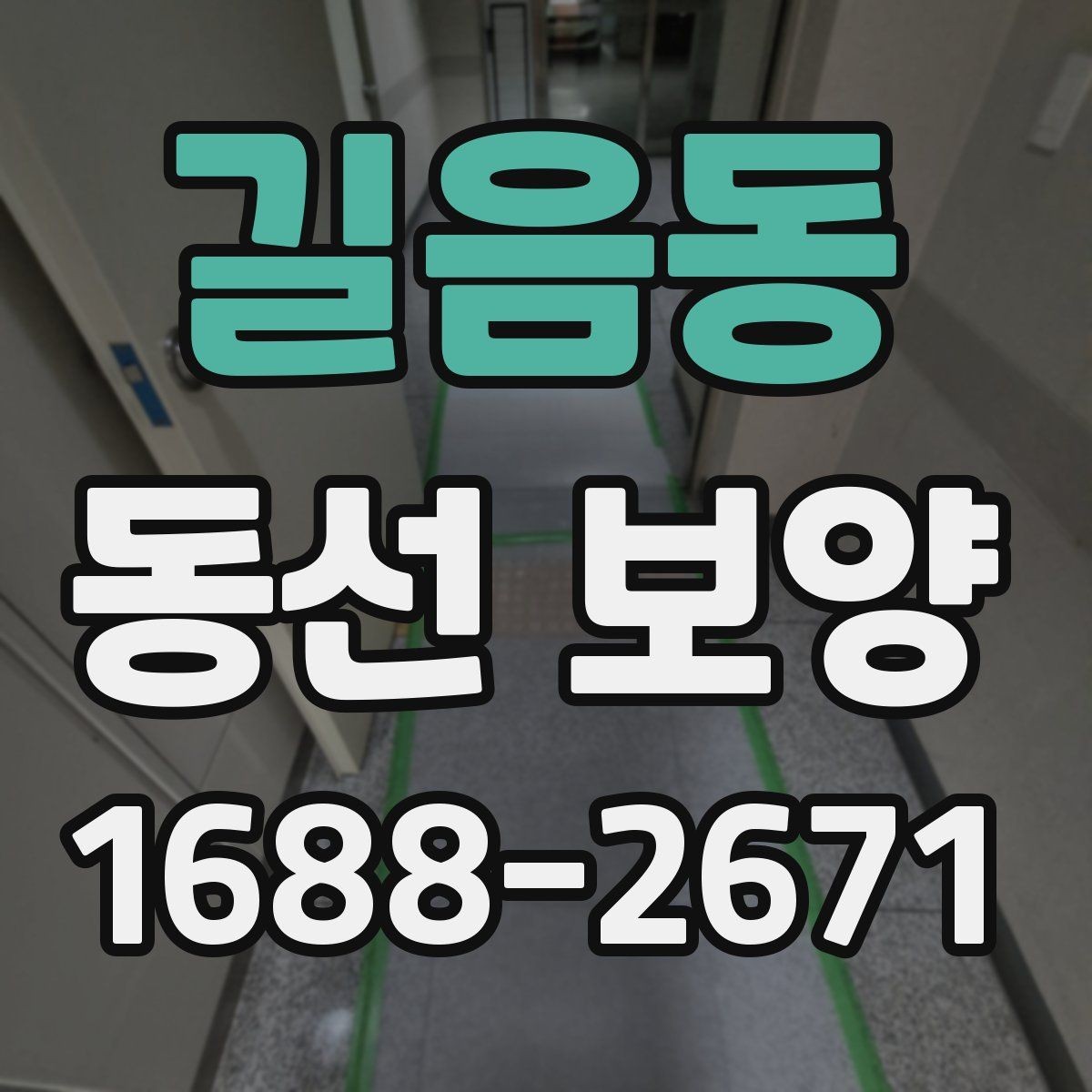 길음동 동선 보양 비용 견적을 볼 때 확인할 항목