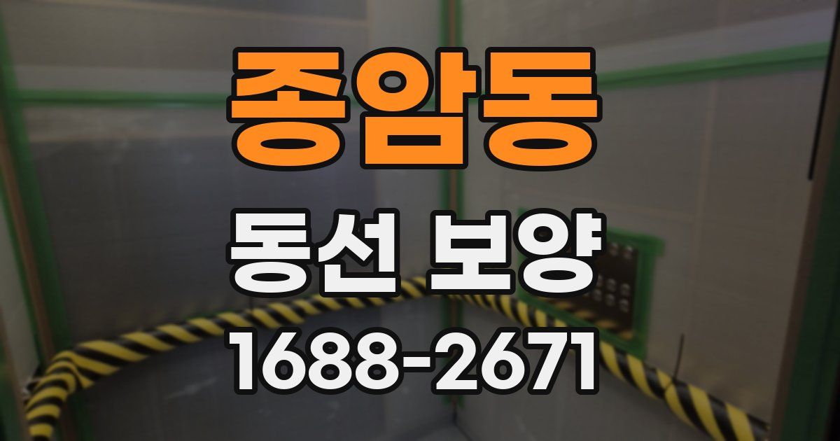 종암동 동선 보양