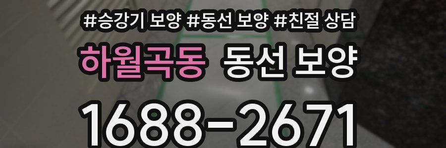 하월곡동 동선 보양