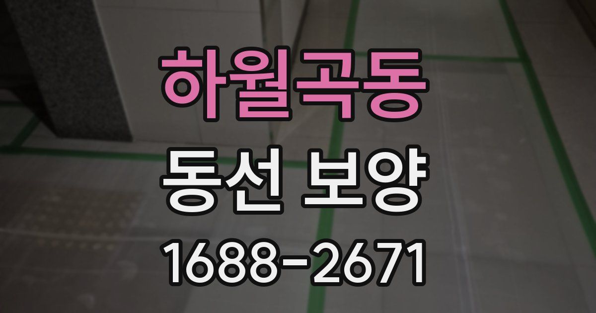 하월곡동 동선 보양