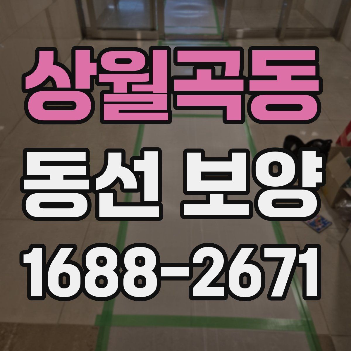 상월곡동 동선 보양 비용 절감보다 중요한 점