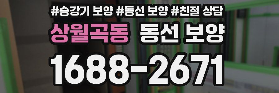 상월곡동 동선 보양