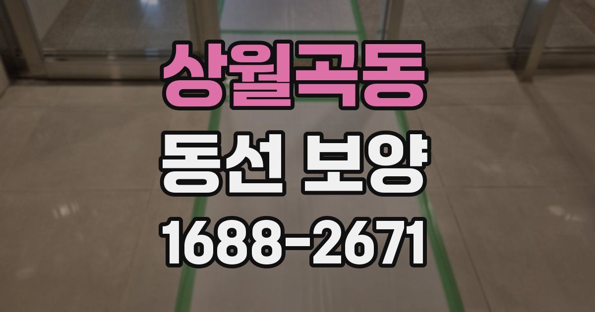 상월곡동 동선 보양