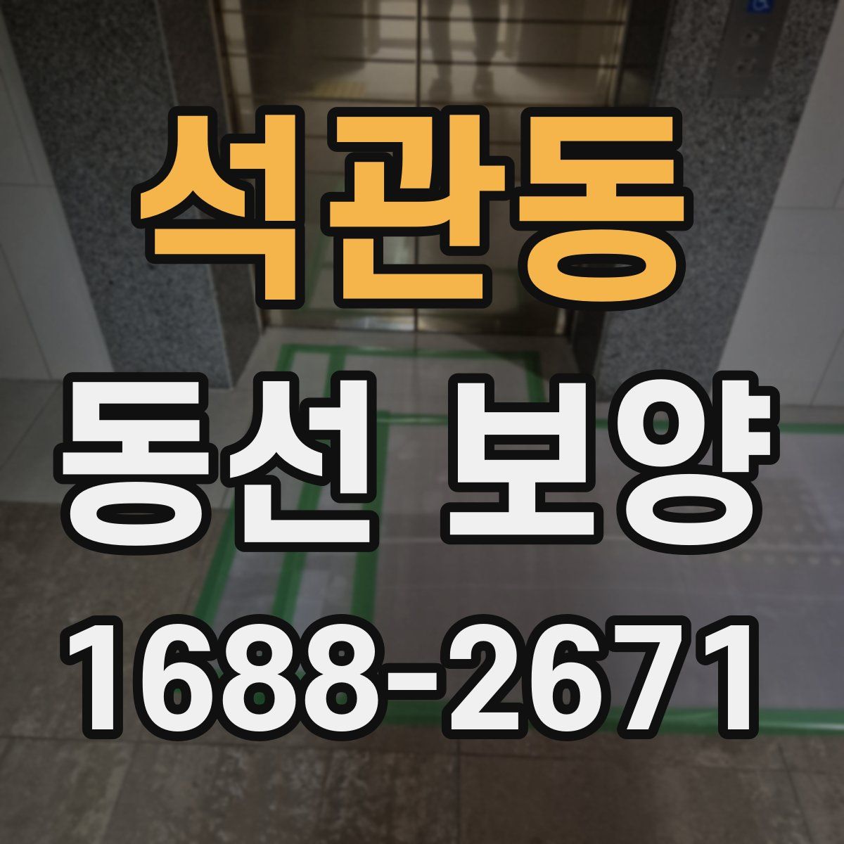 석관동 동선 보양