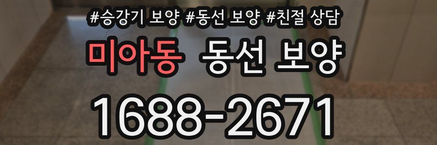 미아동 동선 보양
