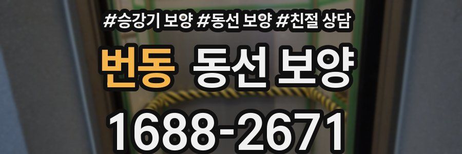번동 동선 보양