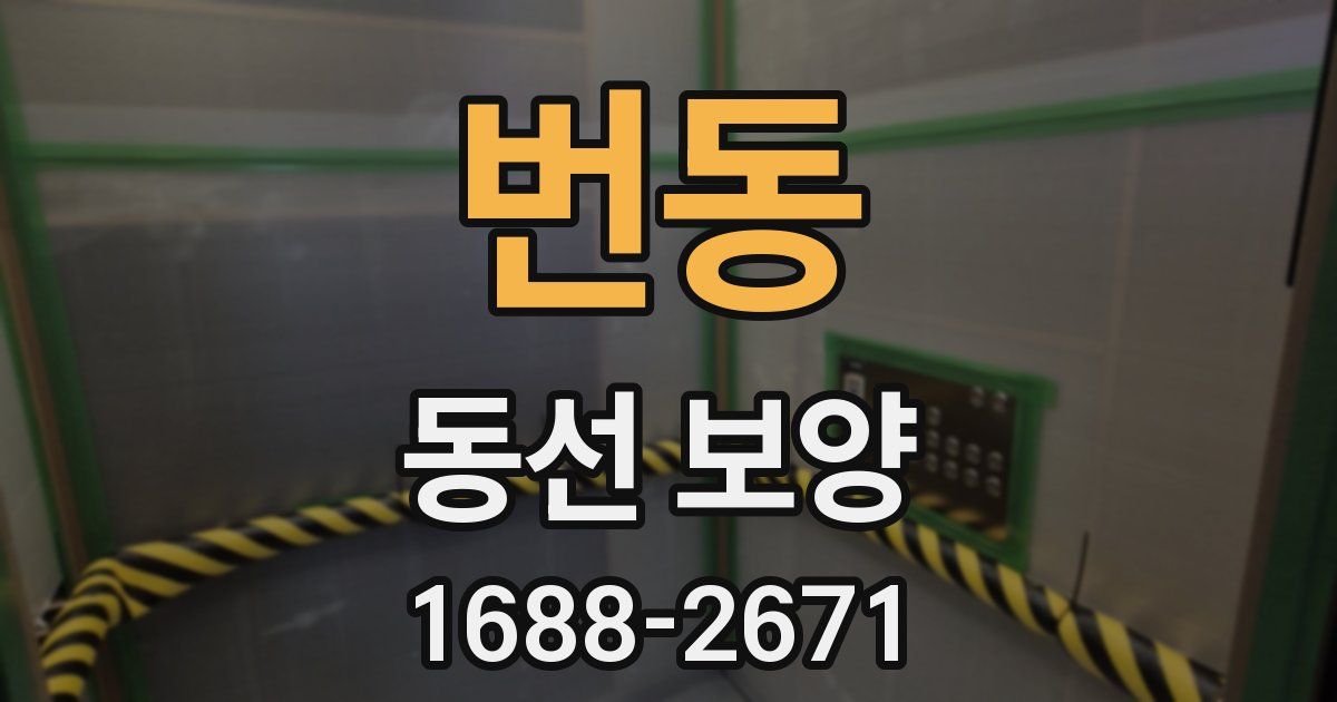 번동 동선 보양