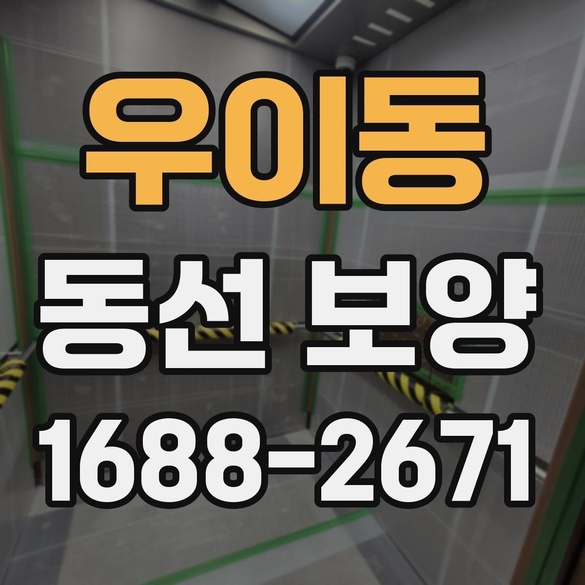 우이동 동선 보양 작업 전 꼭 확인할 점