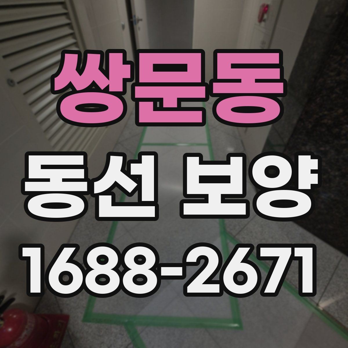 쌍문동 동선 보양 작업 후 손상 예방을 위한 관리법