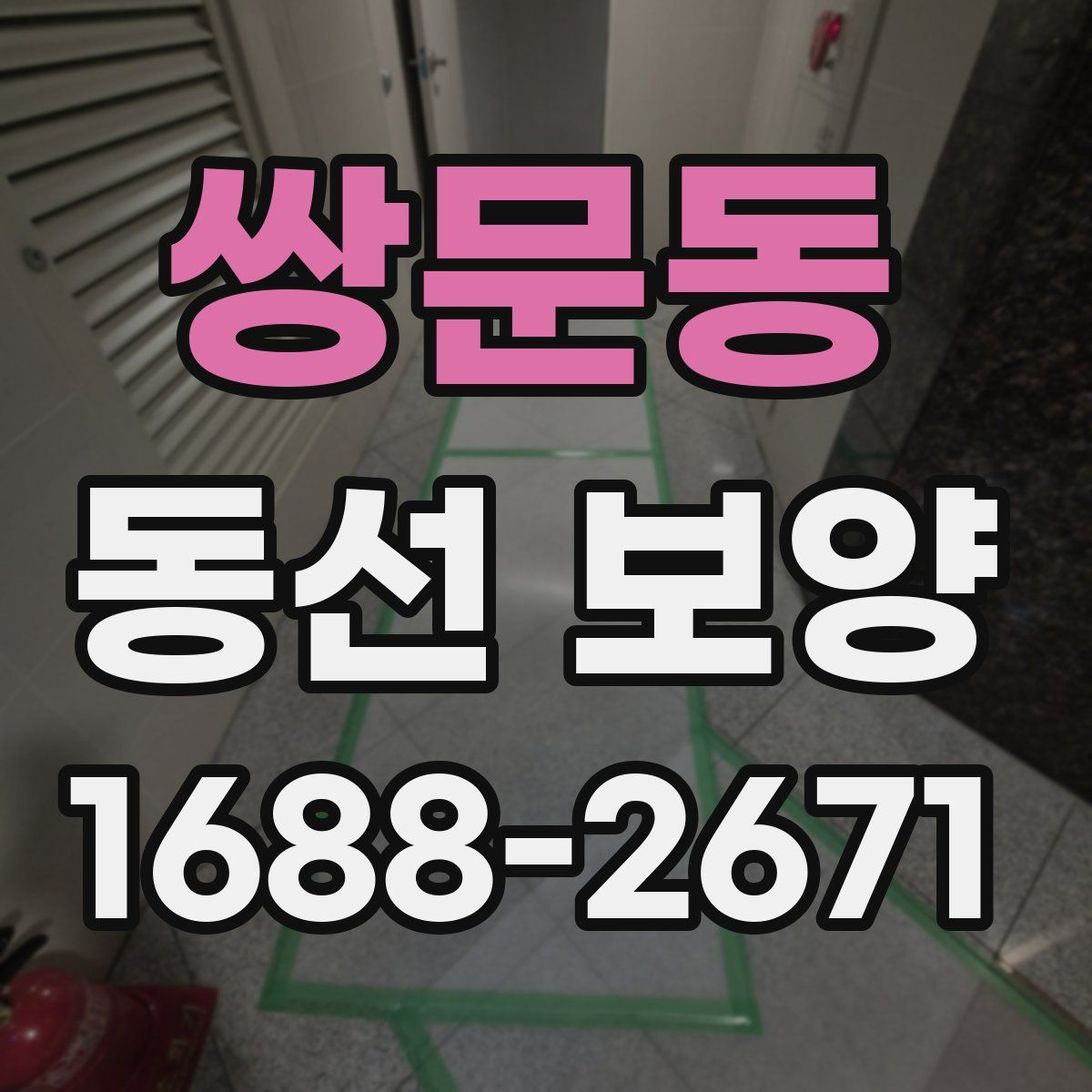 쌍문동 동선 보양