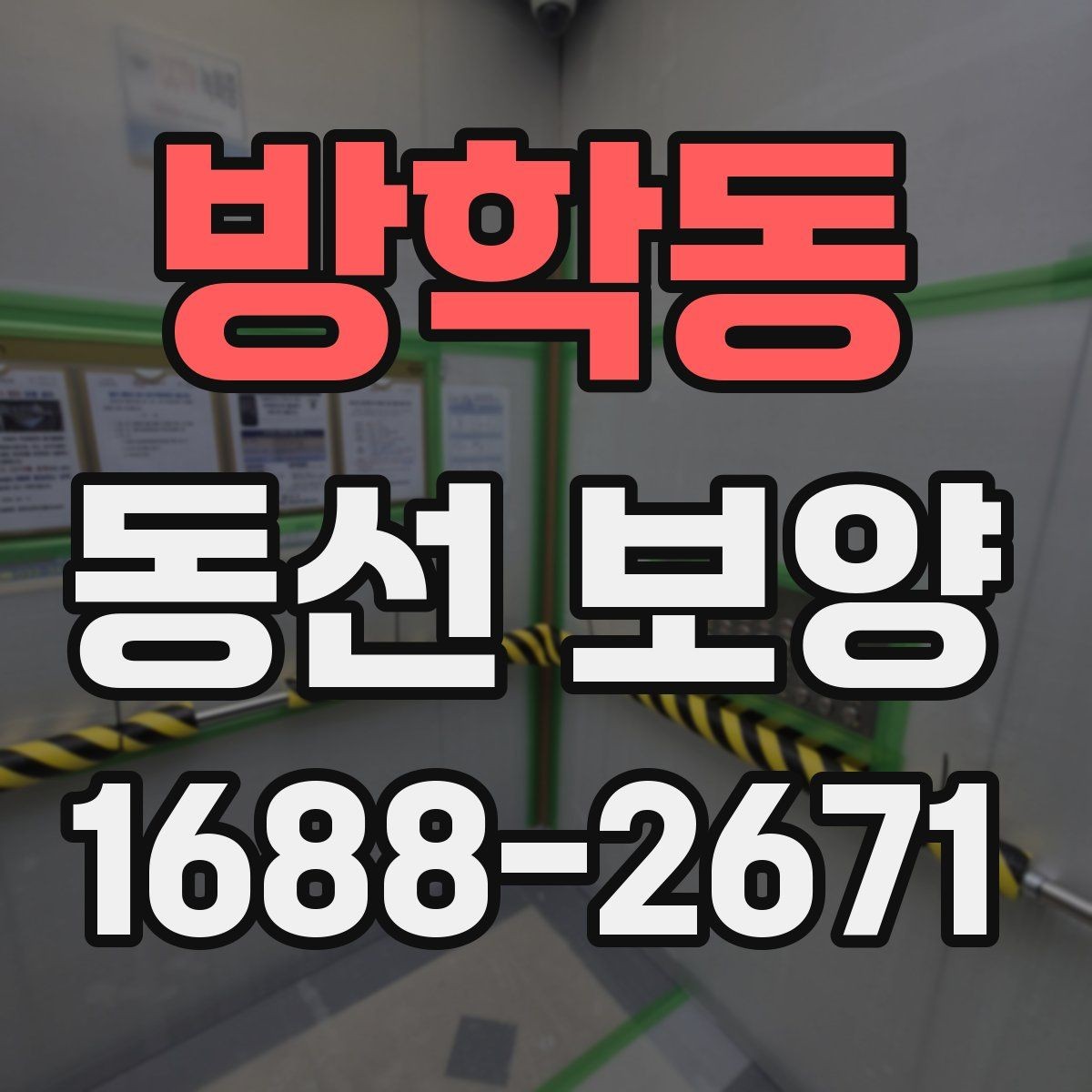 방학동 동선 보양 후 마감 상태 점검 포인트