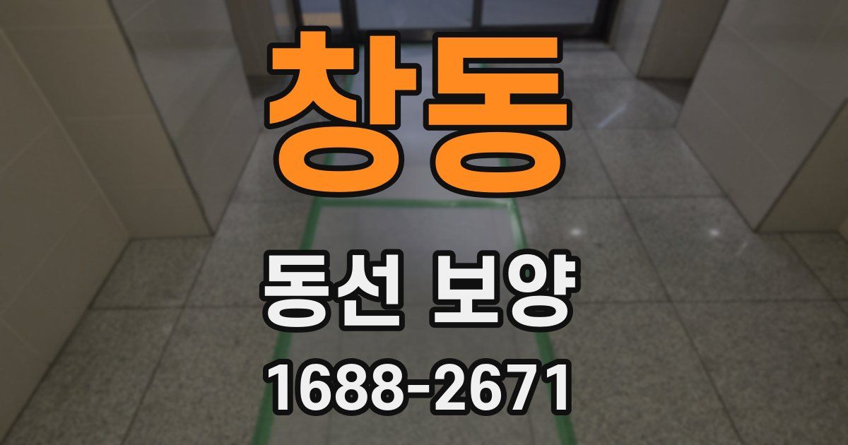 창동 동선 보양