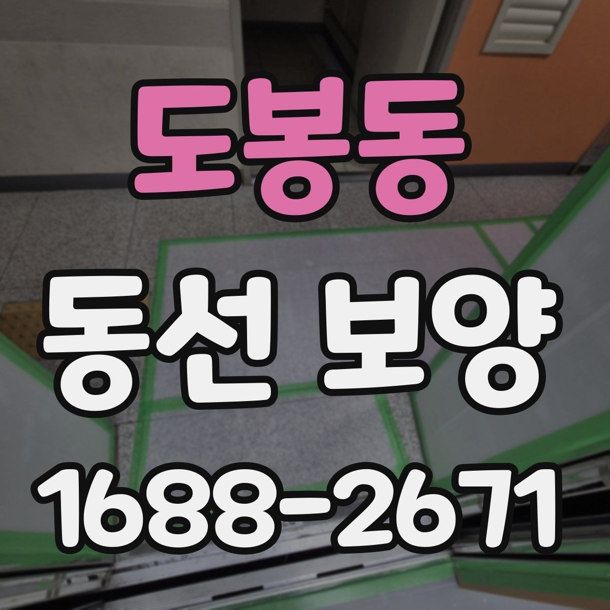 도봉동 동선 보양 현장에 맞는 자재 선택 가이드