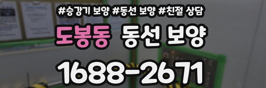 도봉동 동선 보양