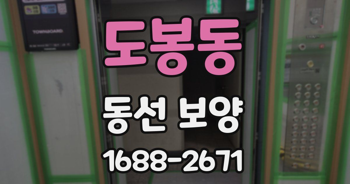 도봉동 동선 보양