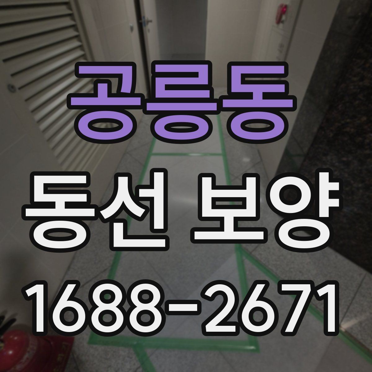 공릉동 동선 보양 비용 견적을 볼 때 확인할 항목
