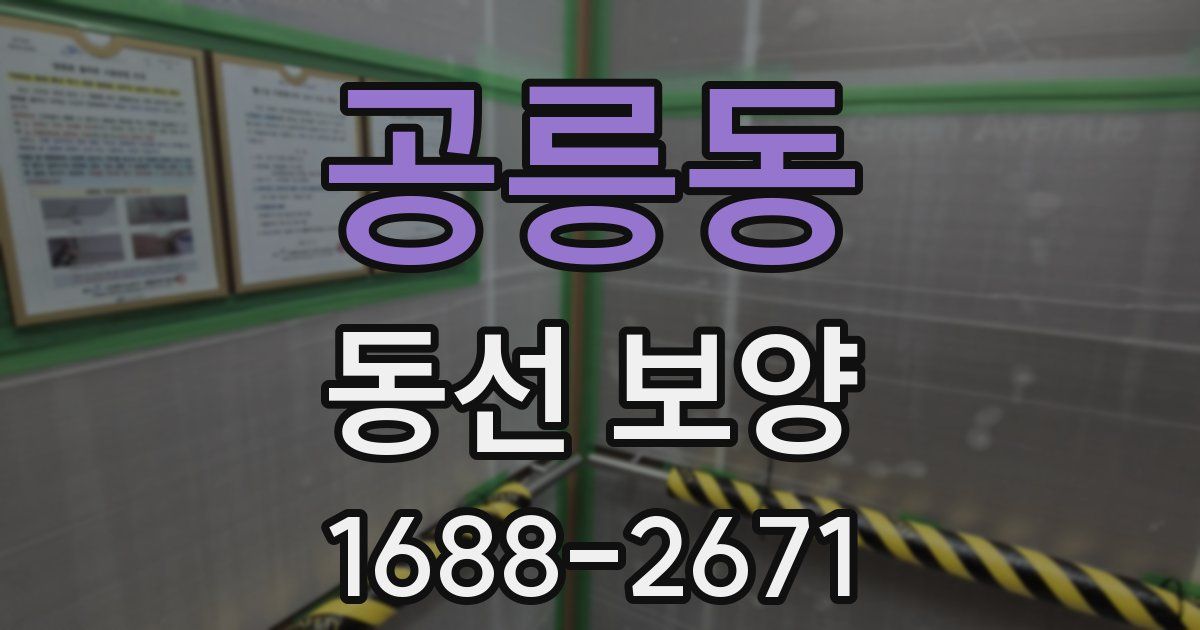 공릉동 동선 보양