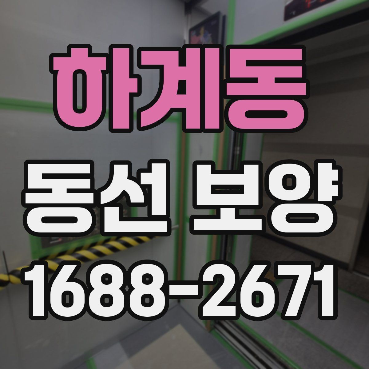 하계동 동선 보양 관련 문의 전 준비하면 좋은 정보
