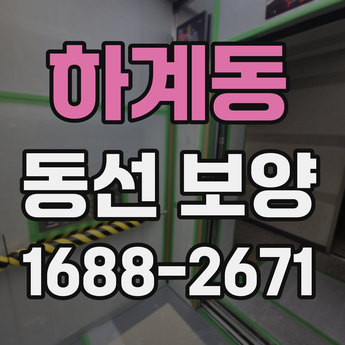 하계동 동선 보양