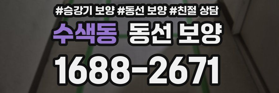 수색동 동선 보양